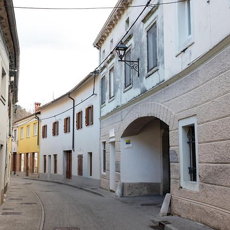 Oliver Street Apartment Vipava Esterno foto